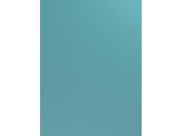 S U142BST/U142BST Exotic blue  8 x 2070 x 2800 mm  D1  TEV