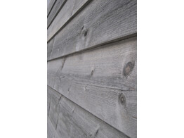 212111 SIDINGPLANK 10/20 x 200 mm x 3.00 M GRIJS GEIMPR